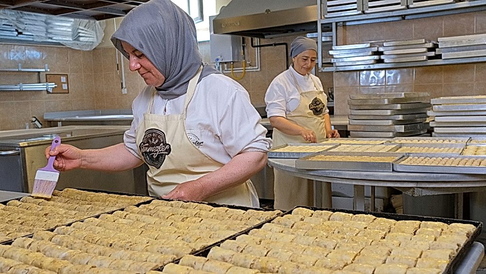 BÖREK VE ÇEŞİTLERİ İMALATHANESİ	